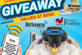 Brinsea Maxi Incubator Giveaway